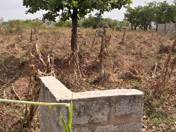 50 by 100 land for sell in Zakwoyi, Tipper Garage, Dutse