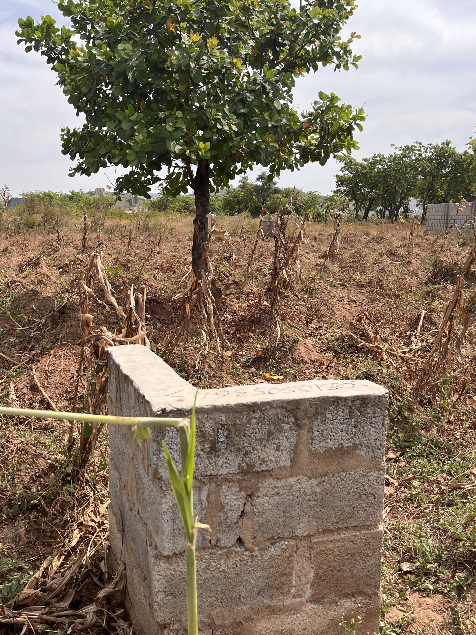 50 by 100 land for sell in Zakwoyi, Tipper Garage, Dutse