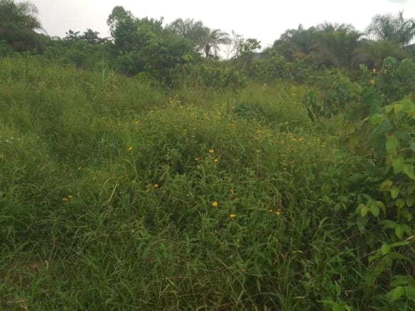2 PLOTS FOR SALE | ₦10M | KPANSIA COMMERCIAL ZONE