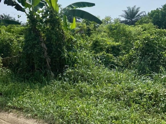 Affordable Land for buy and hold purposes