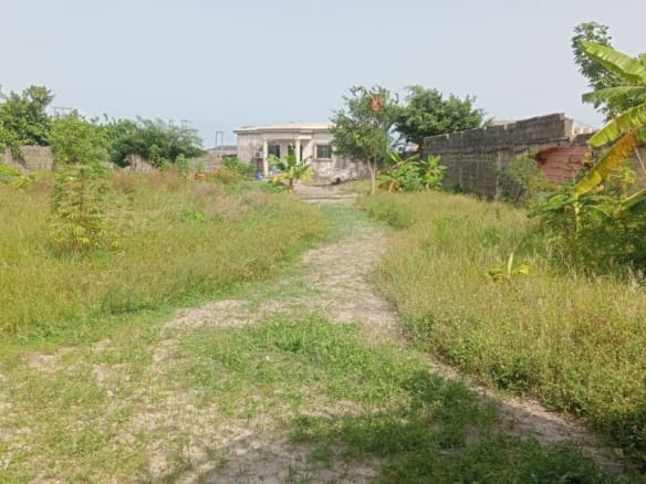 Mixed use land with Governor's consent