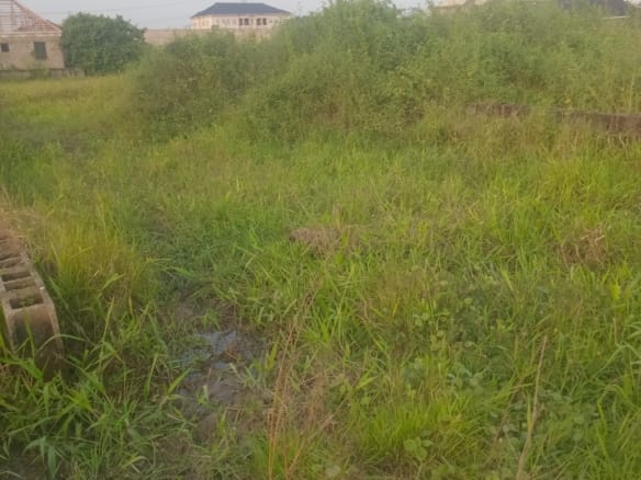 Well-Located Half Plot in Developed Arepo Neighborhood Behind Punch Newspaper