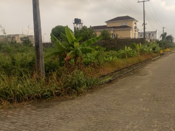 Prime land with C of O in Lekki Scheme 2