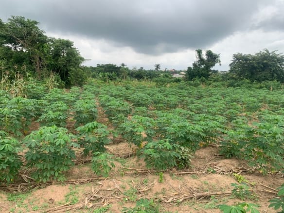 Residential Land at Mowuni After/off Elenusonso Road, ibadan.
