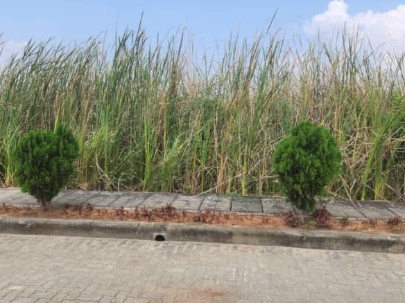 Land for sale on Block 17, Orange Island