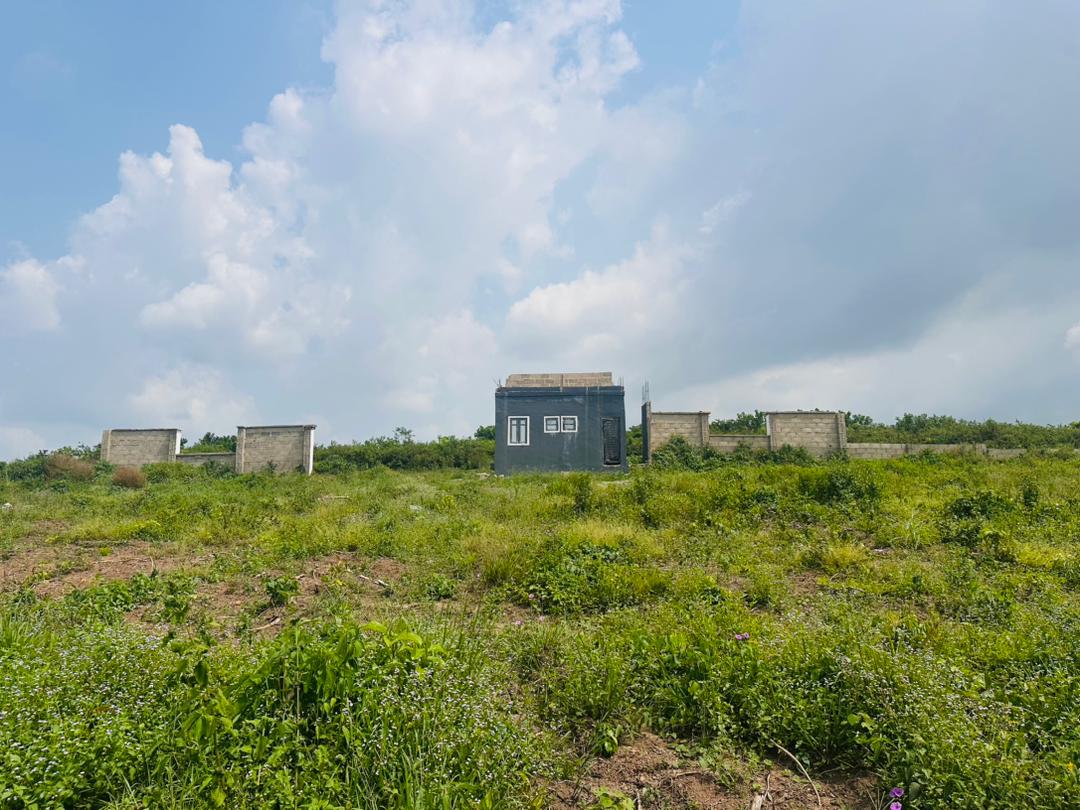 WhatsApp Image 2025-12-04 at 13.48.23