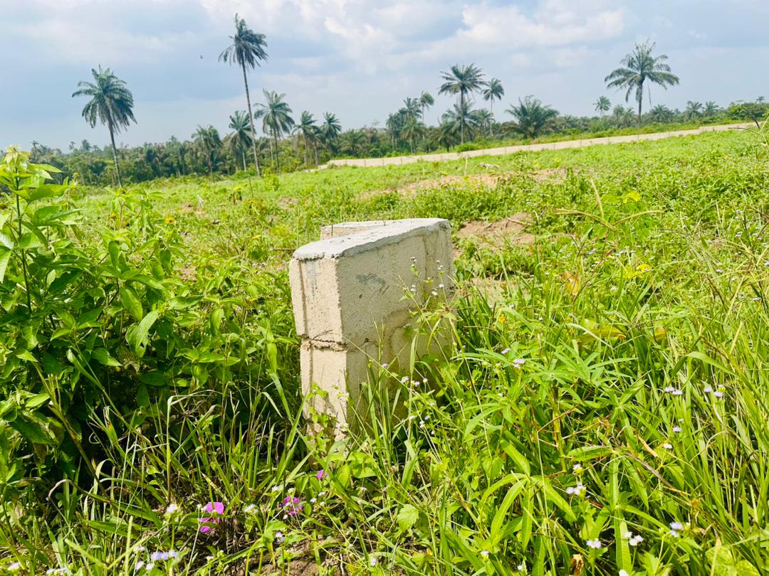 WhatsApp Image 2025-12-04 at 13.48.24 (1)