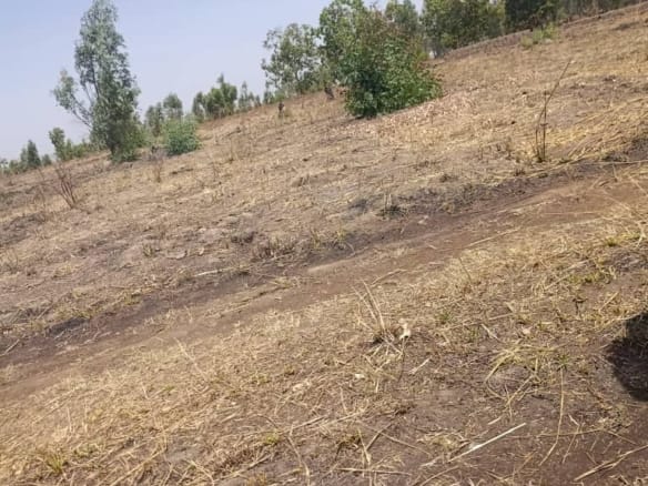 Affordable land with proximity to Yakubu Gowon Airport in Heipang, Barkin Ladi, Plateau State