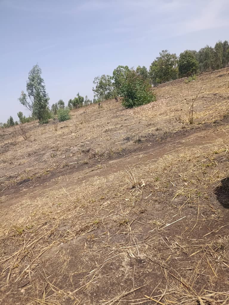 Affordable land with proximity to Yakubu Gowon Airport in Heipang, Barkin Ladi, Plateau State