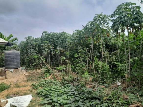 URGENT SALE: 1.3 Plot of Dry Land at Apata Ganga Area, Circular Road Axis, Ido, Ibadan