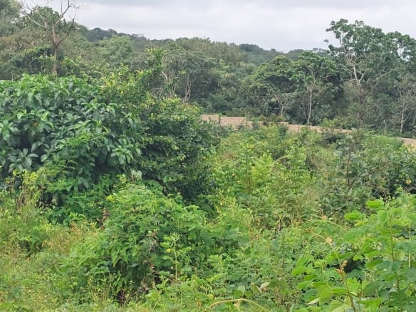 Land for Sale in Fast-Growing Enterpreneur Estate, Abara Etche