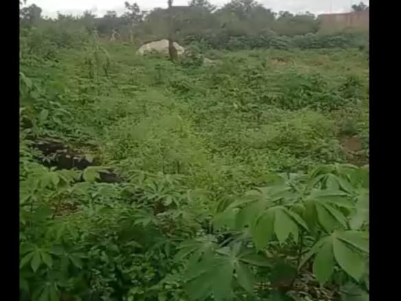 Prime land for sale at Sapele road bypass