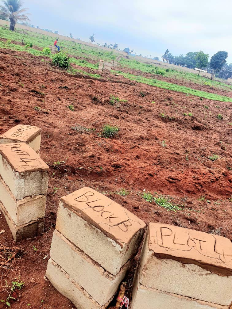 IMG-20250922-WA0011(1)