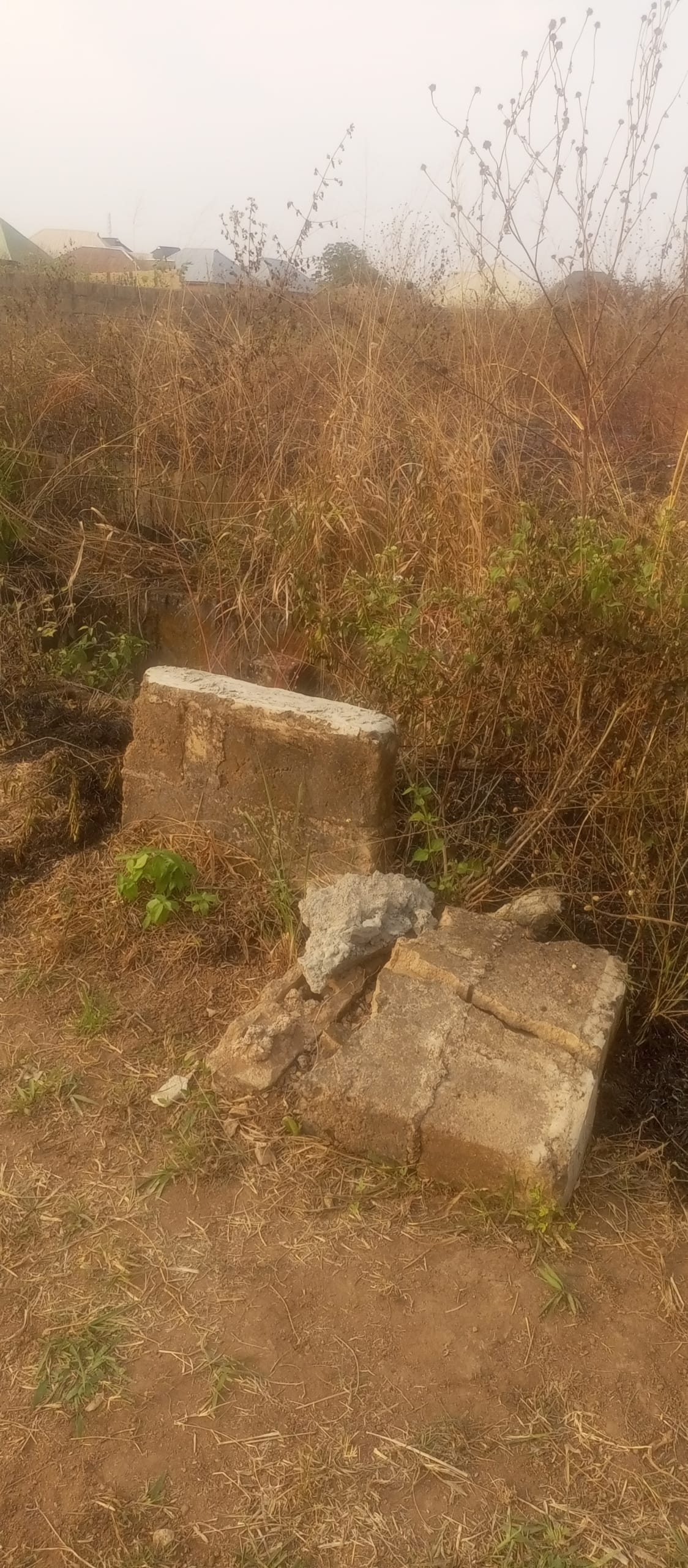 IMG_20260130_172023_258