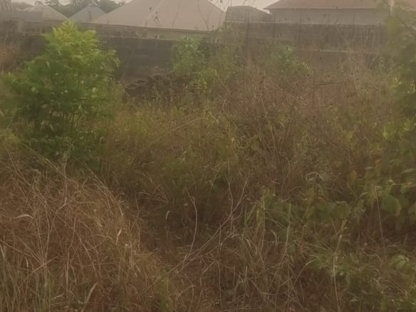 Standard full Plot of Land for Sale at Oloola community, off Akala Express, Ibadan
