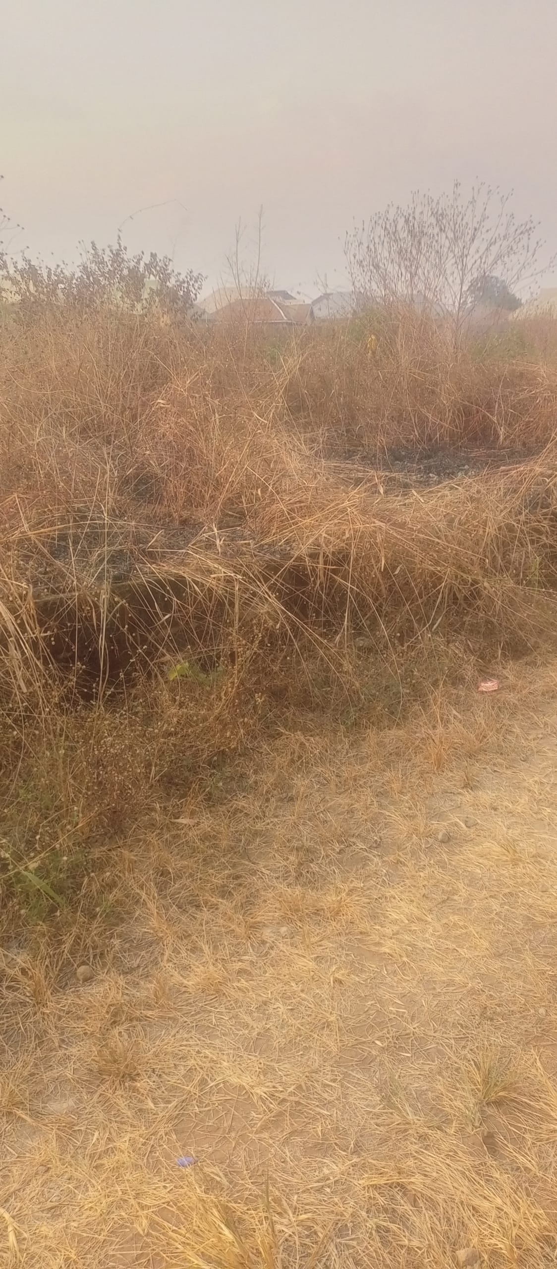 IMG_20260130_172217_609