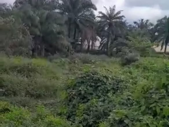 Strategic Location: 6 plots of land for sale in Umuahia, Abia State