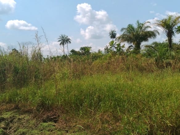 1 Plot of Land Behind Agudama New Market, Agudama-Epie, Yenagoa