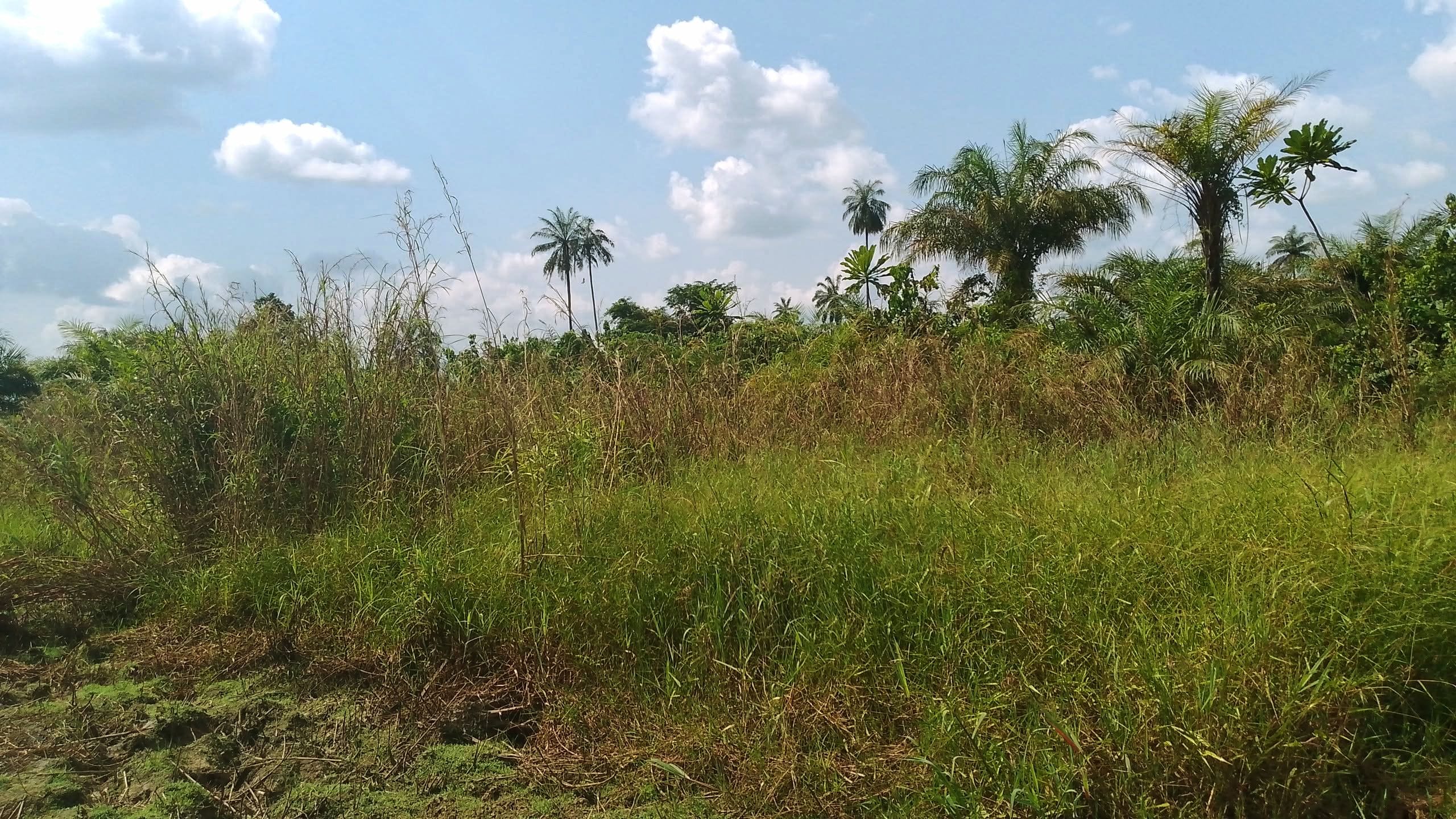 1 Plot of Land Behind Agudama New Market, Agudama-Epie, Yenagoa