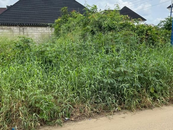 Buy and build half plot in a serene neighborhood with good access road,street lights and good power supply