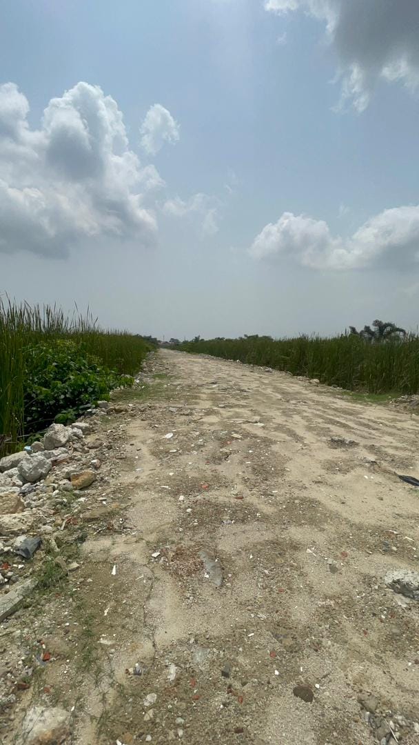 Farmville Estate Sangotedo 1