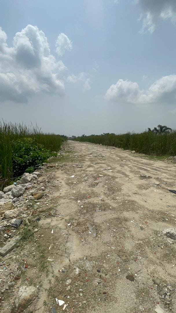 Farmville Estate Sangotedo 2