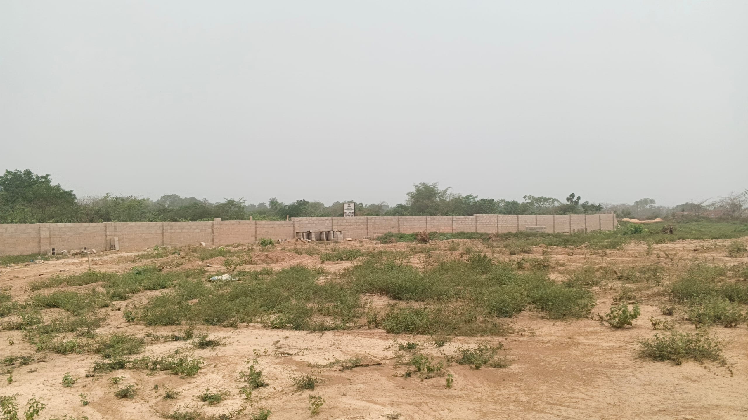 IMG_20260220_125004_373