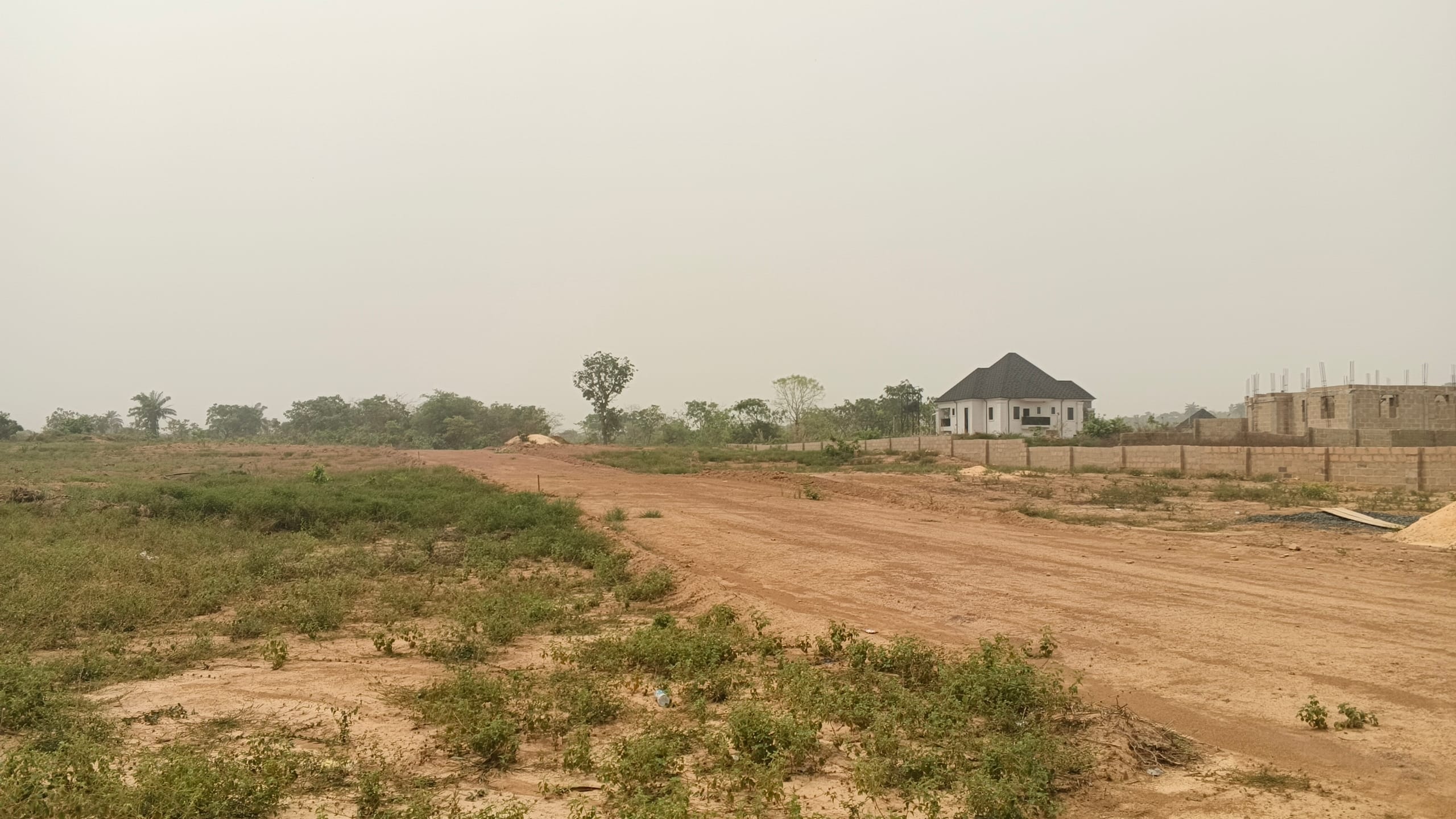 IMG_20260220_125022_996