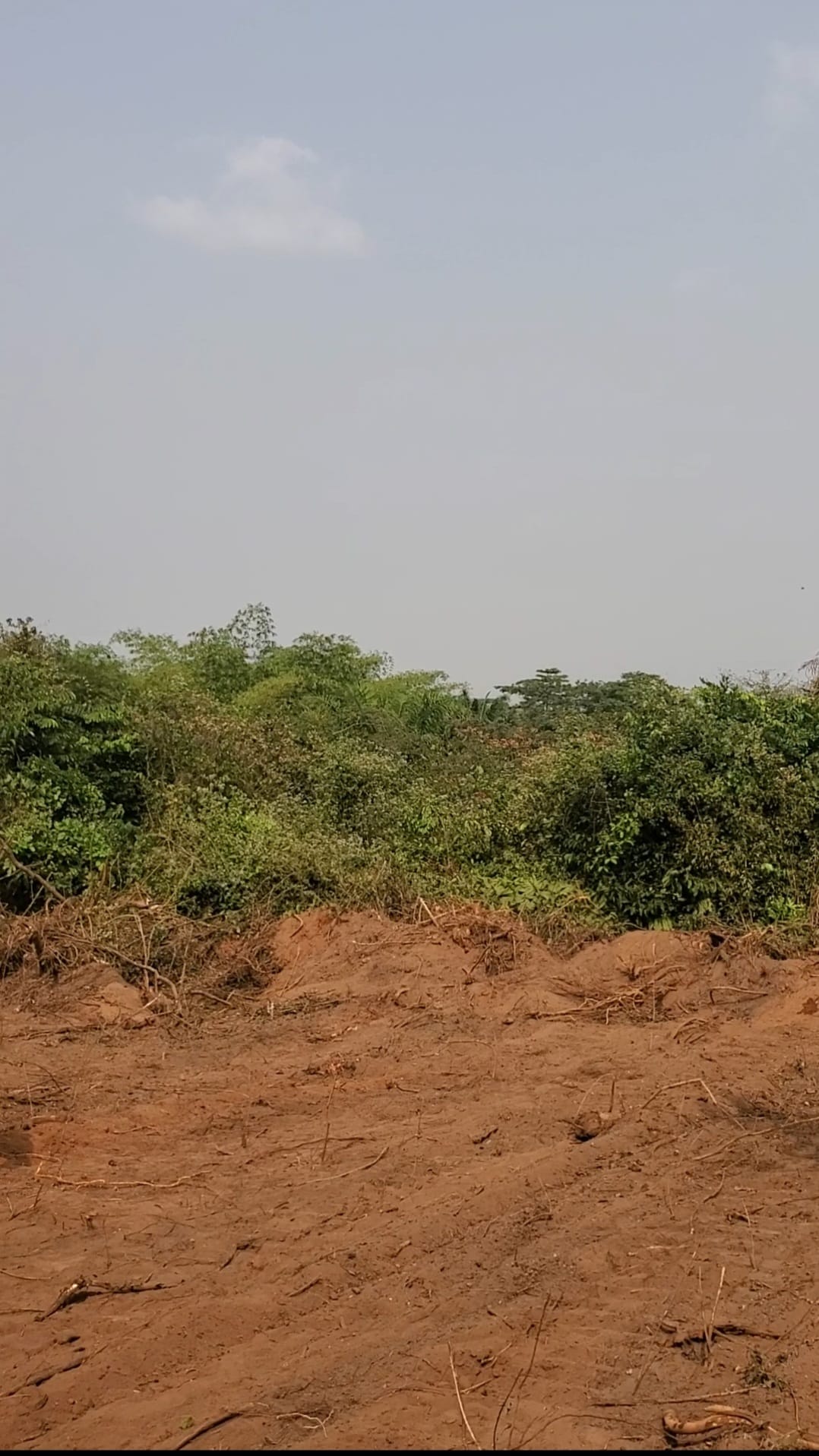 Screenshot_20260210-084344_Gallery