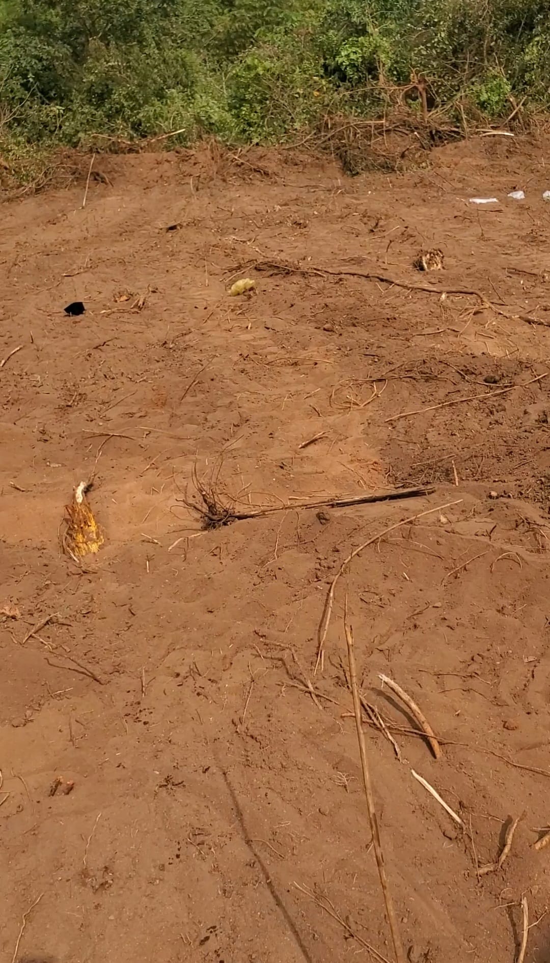 Screenshot_20260210-084552_Gallery