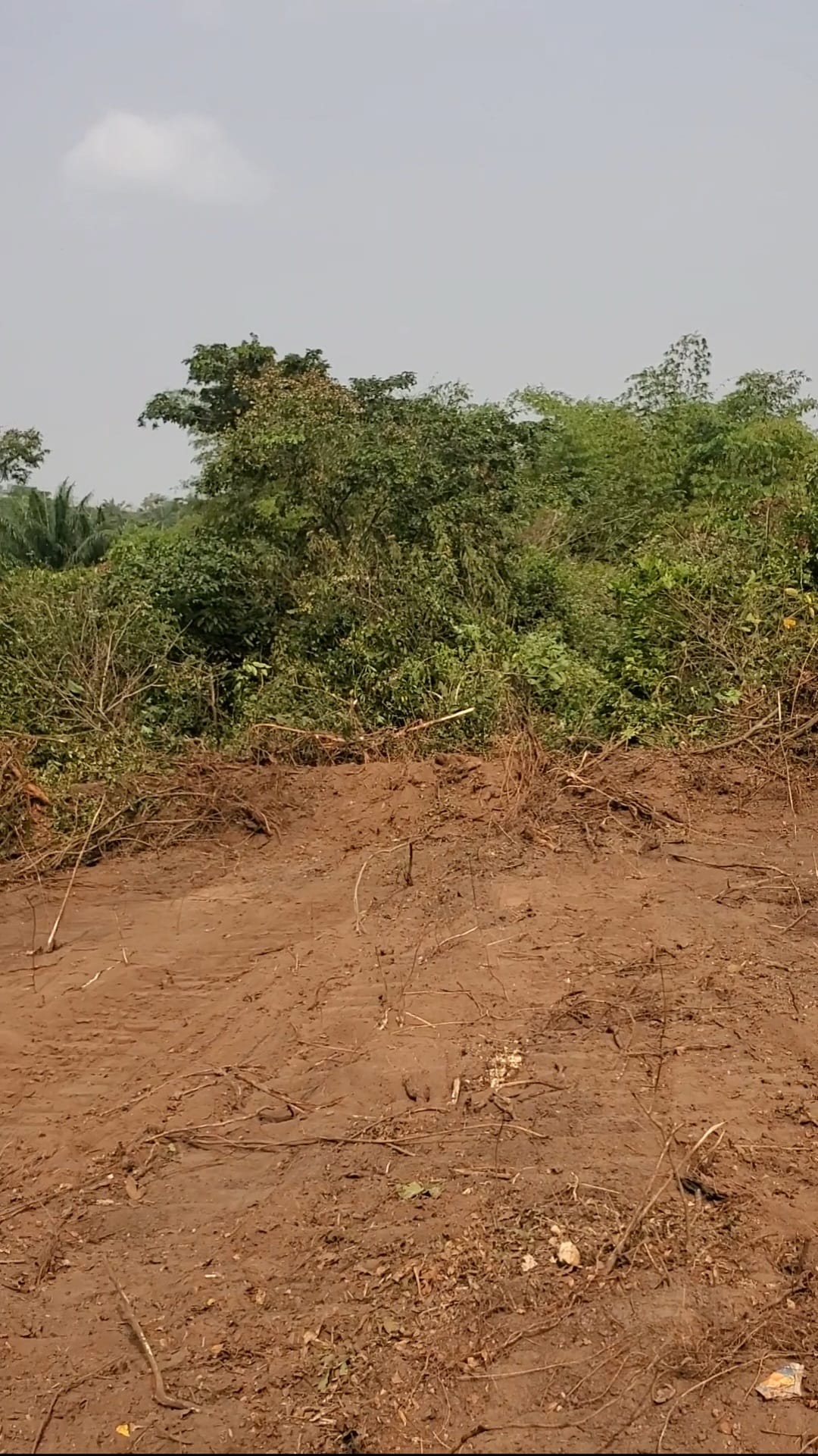 Screenshot_20260210-084626_Gallery