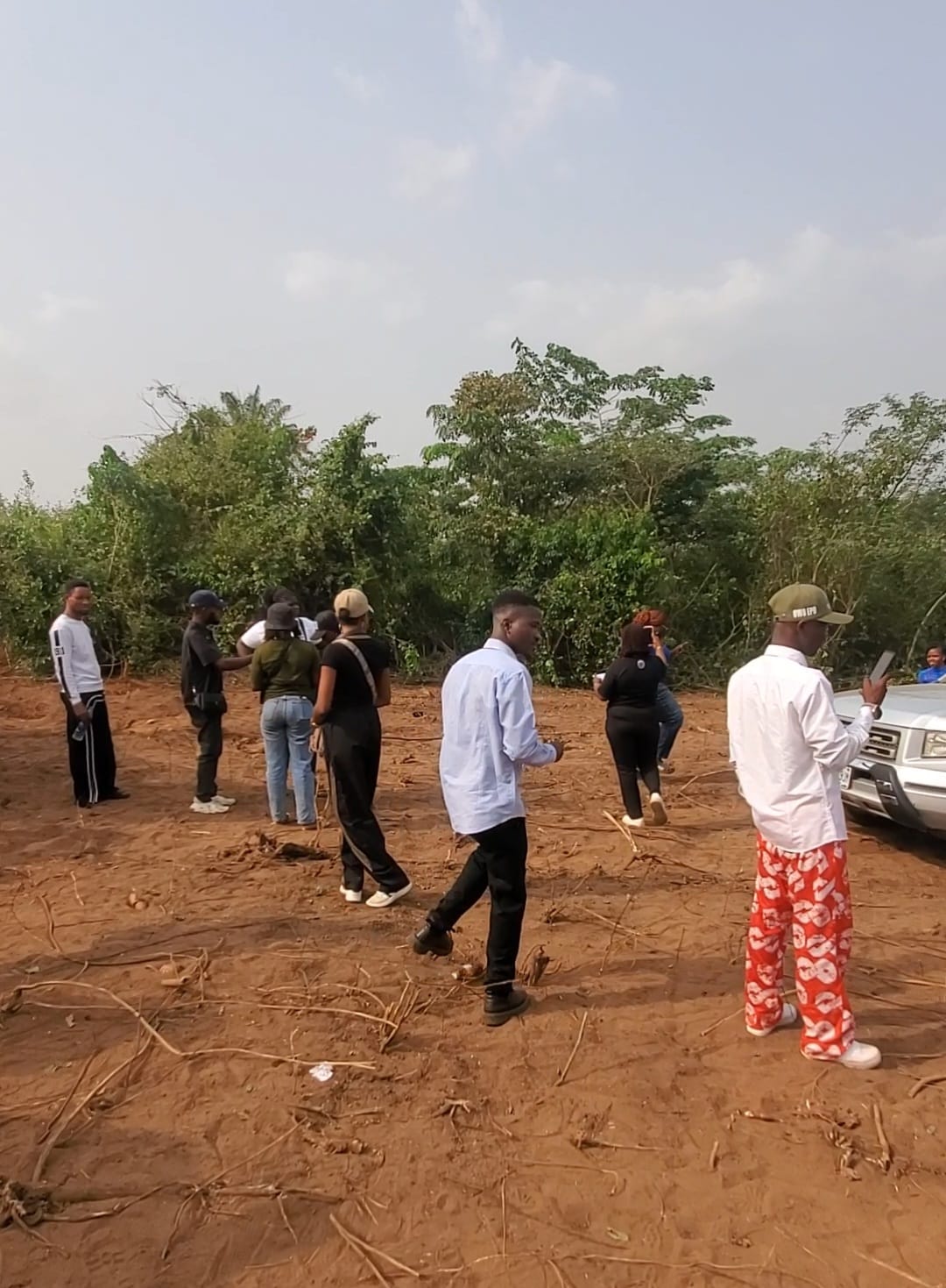 Screenshot_20260210-084750_Gallery