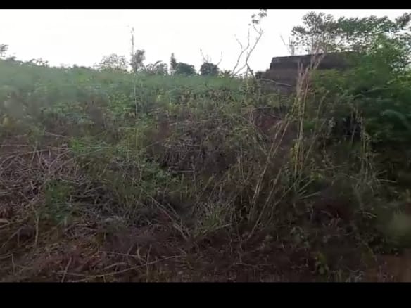 962 plots of farmland in ibusa, Delta State