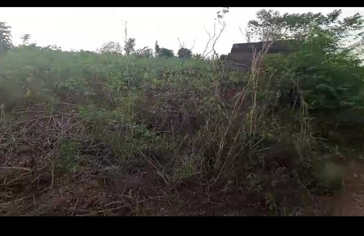 962 plots of farmland in ibusa, Delta State