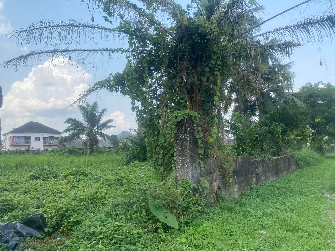 WhatsApp Image 2026-02-10 at 11.36.35 PM