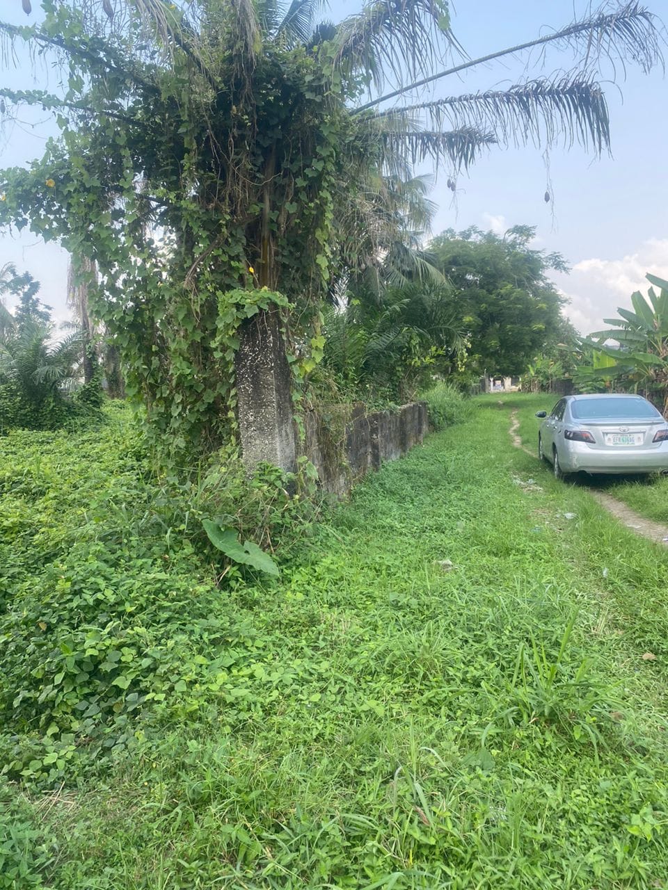 WhatsApp Image 2026-02-10 at 11.36.36 PM (1)