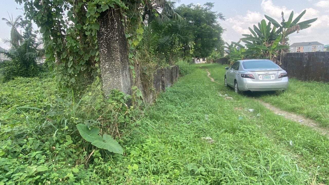 WhatsApp Image 2026-02-10 at 11.36.36 PM (2)