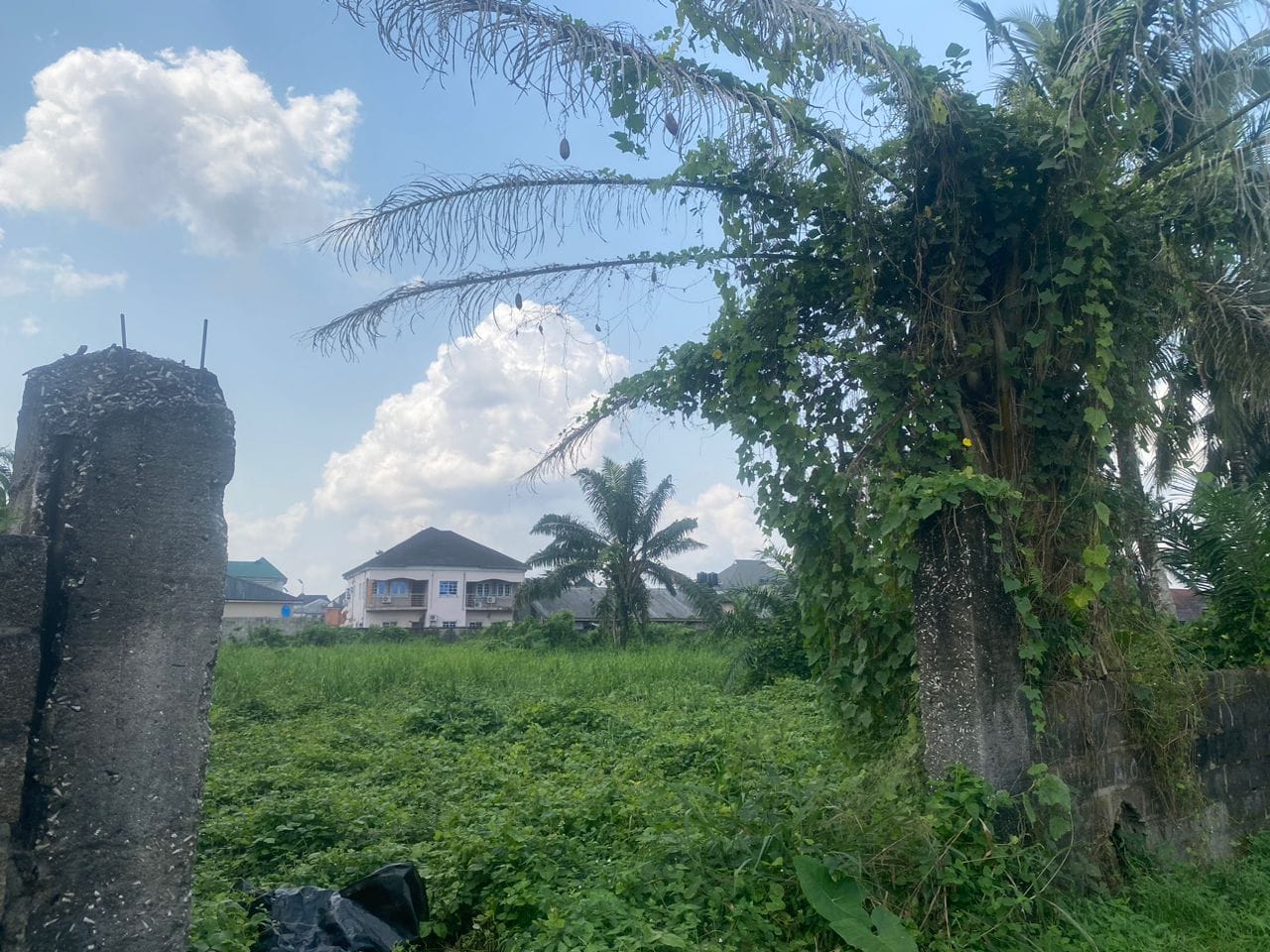 WhatsApp Image 2026-02-10 at 11.36.36 PM