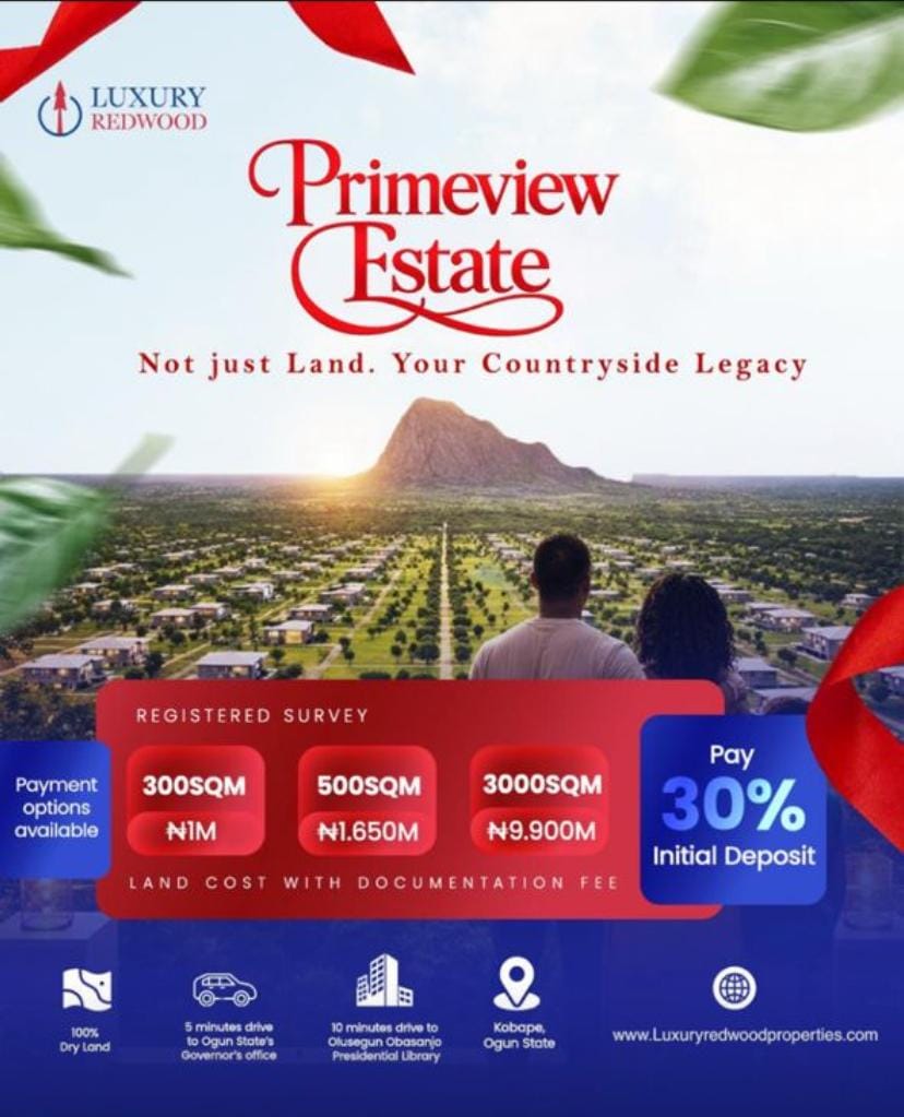 WhatsApp Image 2026-02-12 at 16.30.57