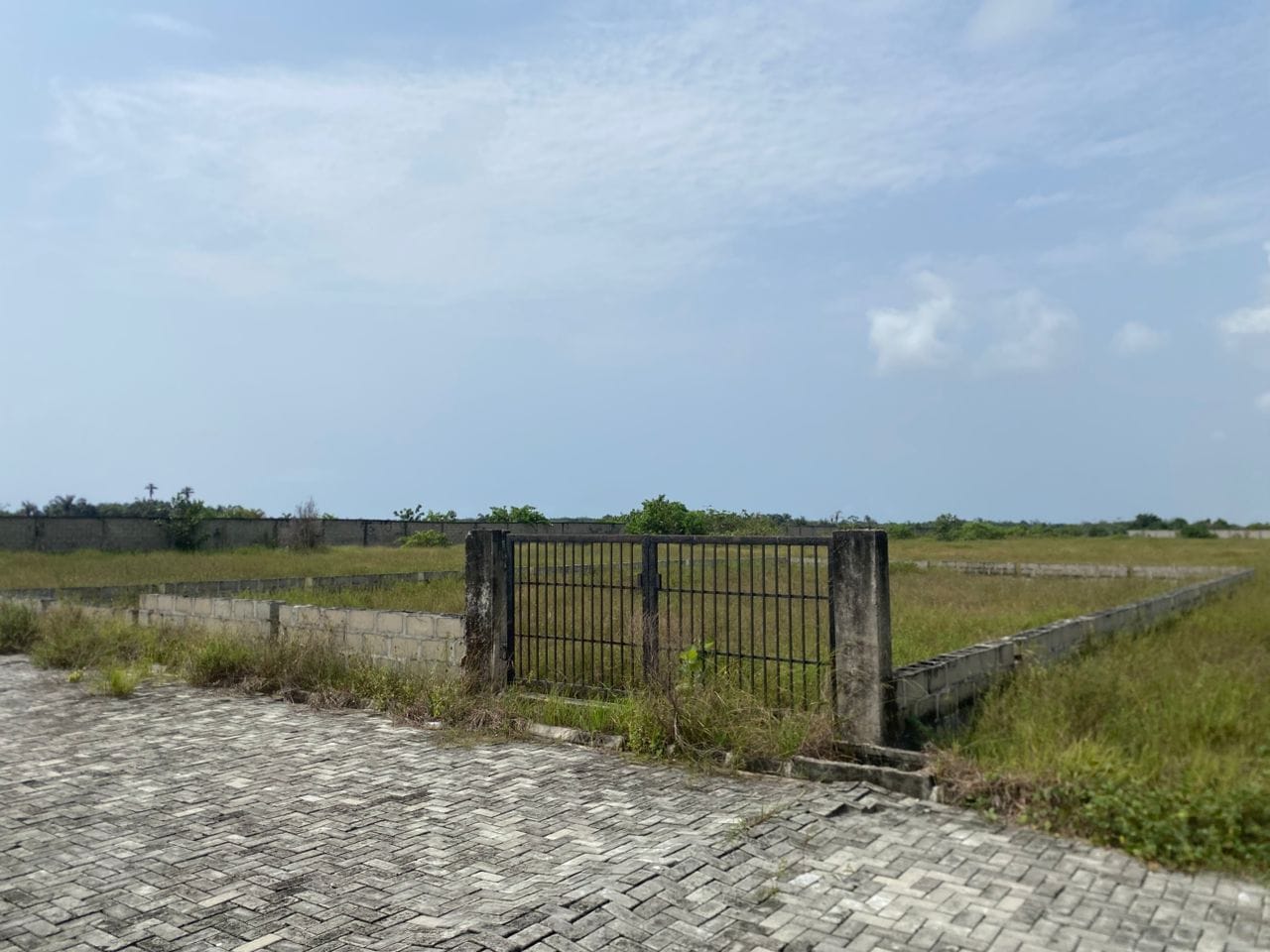 WhatsApp Image 2026-02-13 at 8.37.34 AM