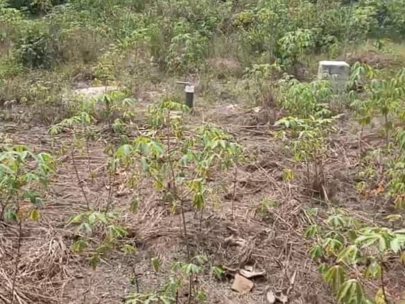 50 x 100 ft dry land at Ekiugbo Iyede - close to the road