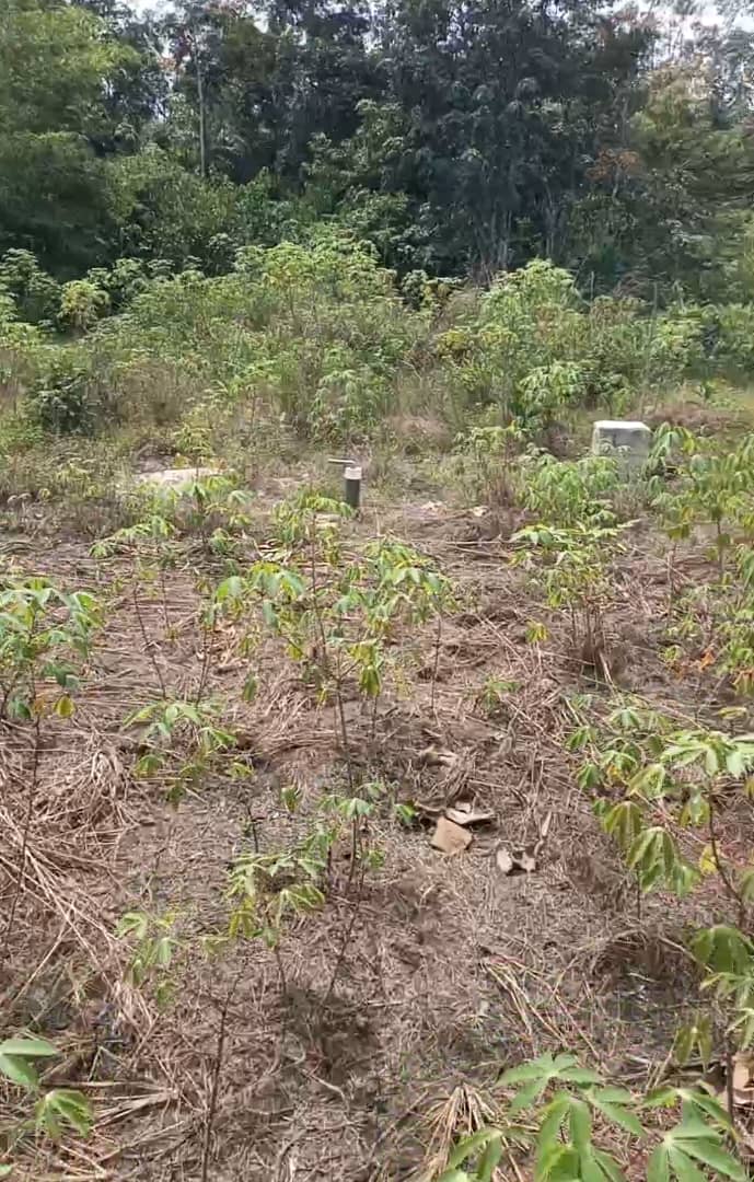 WhatsApp Image 2026-02-14 at 1.36.19 PM