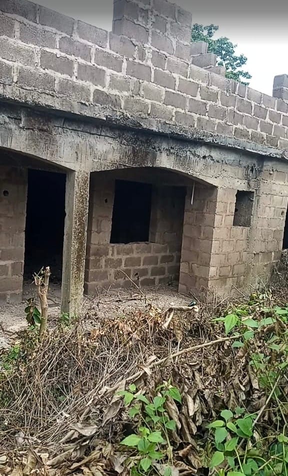 d124e1af-b5c4-49c3-b72e-99d516c070c5