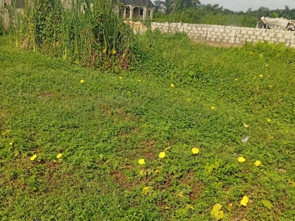 Affordable Half plot of Land for sale - Isheri-osun, Alimisho