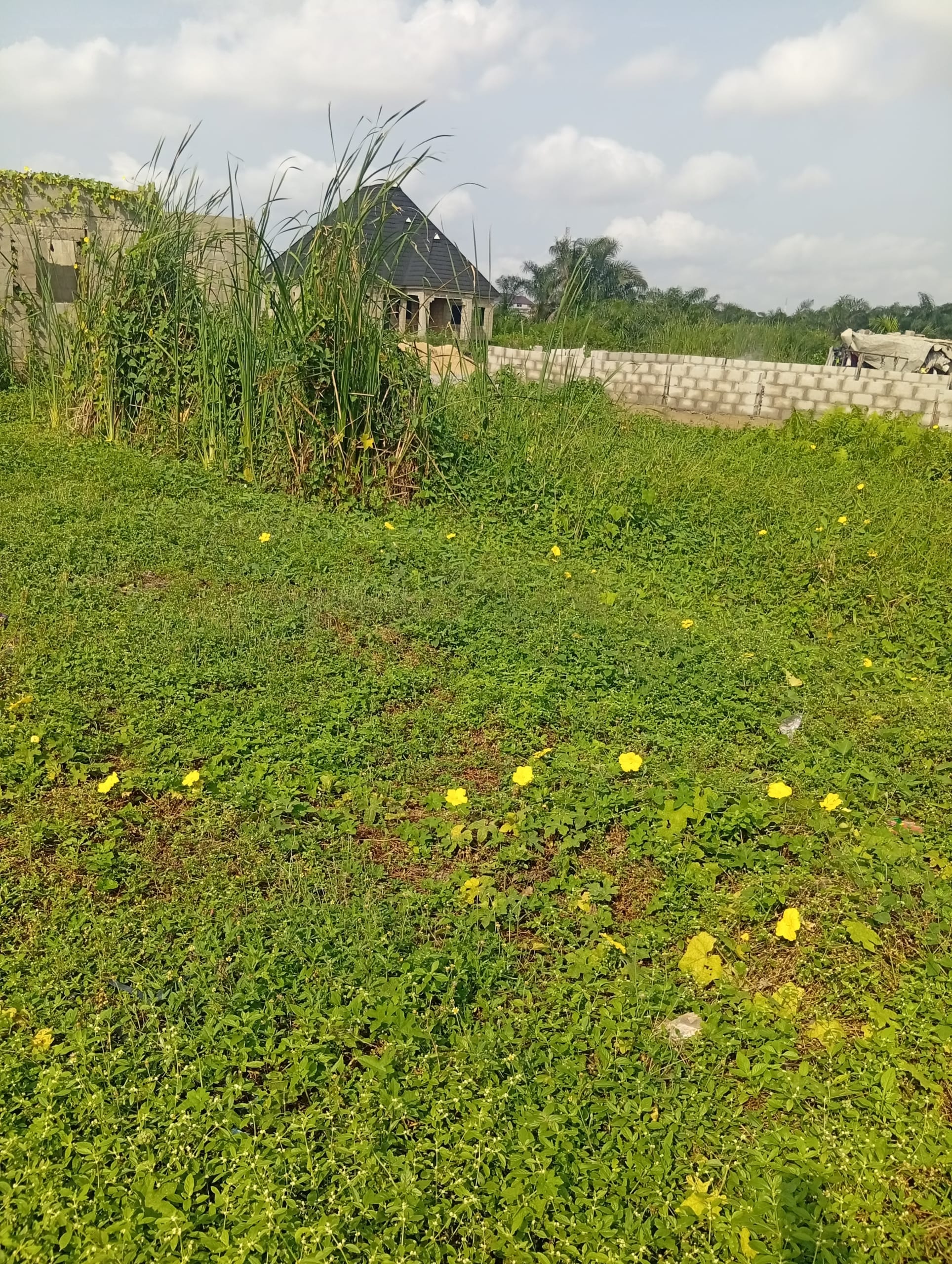 Affordable Half plot of Land for sale - Isheri-osun, Alimisho