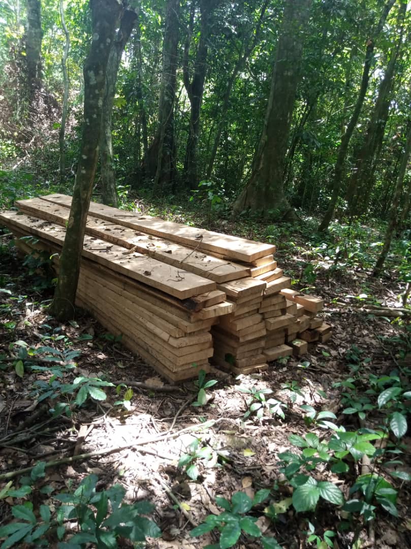 5000 hectares of land for sale.