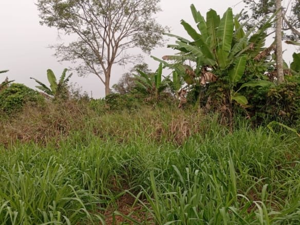 Secure Plot of land at Elejofi family layout off College Road, ODA