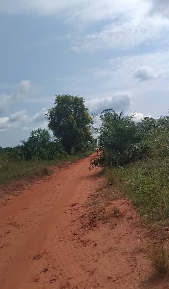 WhatsApp Image 2026-03-03 at 1.34.46 PM (1)