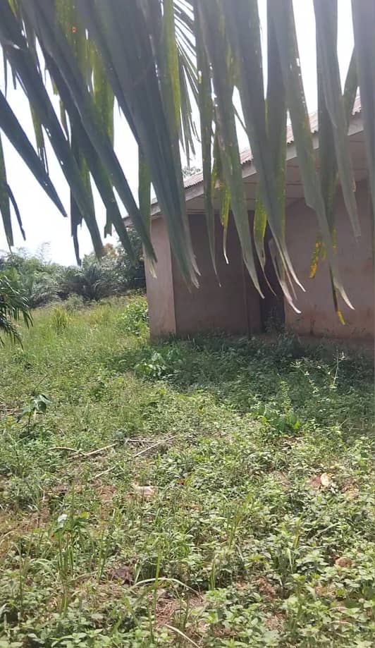 WhatsApp Image 2026-03-03 at 1.34.46 PM (2)