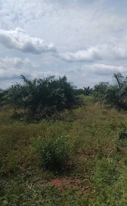 WhatsApp Image 2026-03-03 at 1.34.46 PM (3)